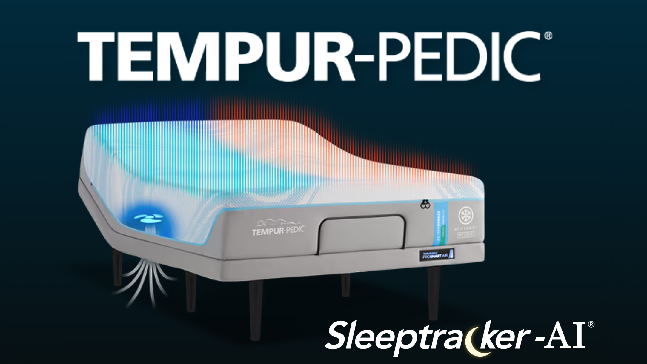 Sleep and Brain