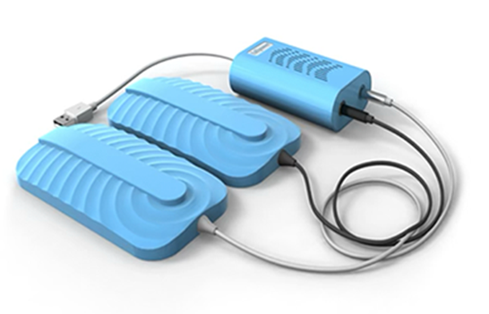 Real-Time Biosensing
